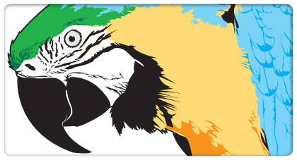 Vector Illustrations by Shane Guymon