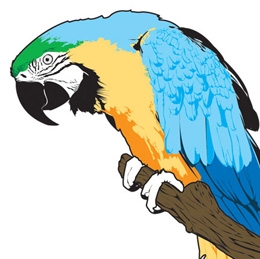 Logos